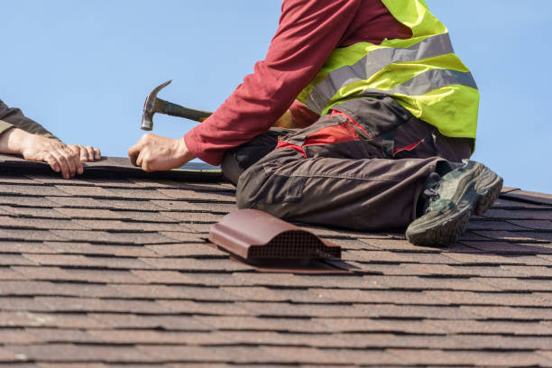 Best Roof Waterproofing Services  in Mount Prospect, IL
