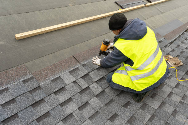 Roof Gutter Cleaning in Mount Prospect, IL