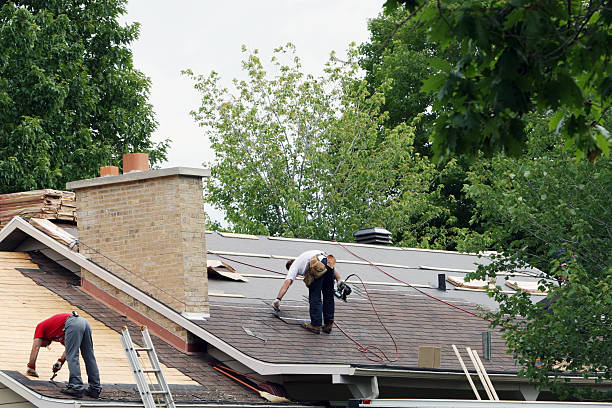 Best Local Roofing Companies  in Mount Prospect, IL
